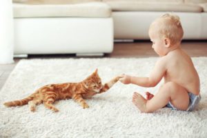 safe-carpet-cleaning